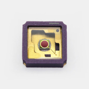 InGaAs фотодиод Hamamatsu G17190-005K