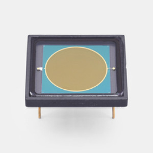 InGaAs фотодиод Hamamatsu G8370-10