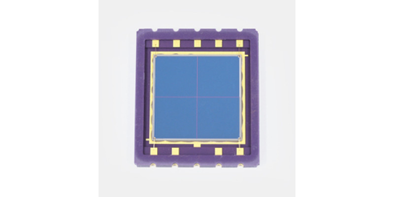 Сегментированный кремниевый фотодиод Hamamatsu Photonics S5981